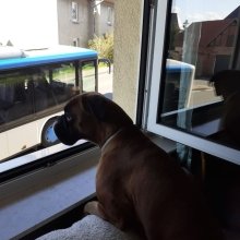 Bild: 2  Jahre " so, ich bin angeschnallt, es kann jetzt los gehen" (002-Lady2Jahre.jpg) 