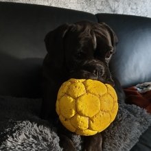 Bild: 2  Jahre (004_litti-2jahre.jpg) 