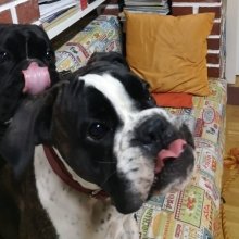 Bild: Leano & Liora 15  Monate " Schleckermäulchen " (Liora_Leano_15mo.jpg) 