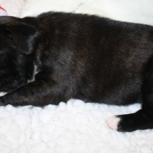 Bild: 3 Wochen (hishani22t.jpg) 