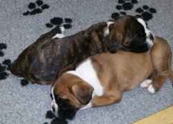 Bild:  / 20170212_125510_gemeinsam_6wo.jpg