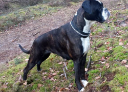 Bild:  / 3Jahre--.png