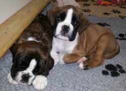 Bild:  / 20170212_112657_gemeinsam_6wo.jpg