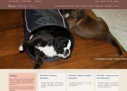 Bild: Webseite - Norisboxer.de / norisboxer.jpg