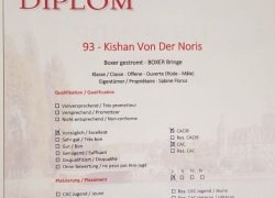 Bild:  / Kishan_Ch.jpg